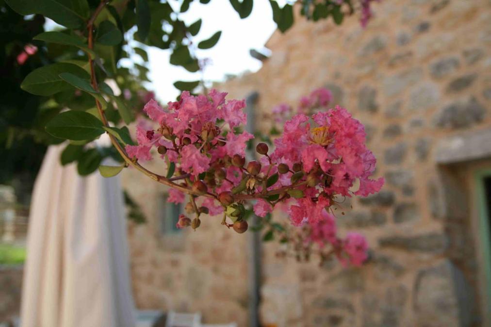Hotell Village Balatura - Exclusive Veggie 4*