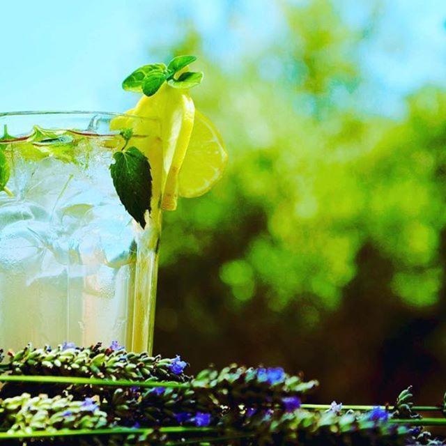 Hotell Village Balatura - Exclusive Veggie 4*